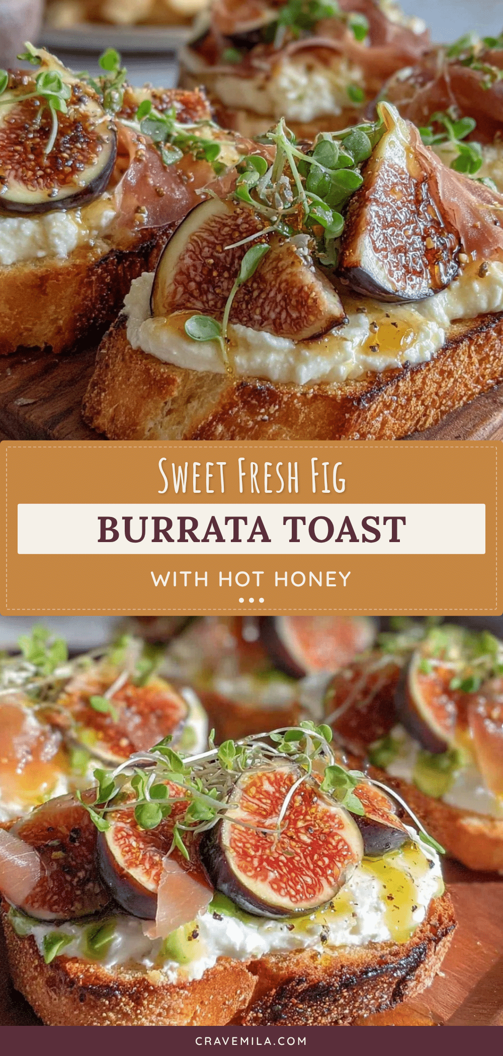fresh fig and burrata toast recipe