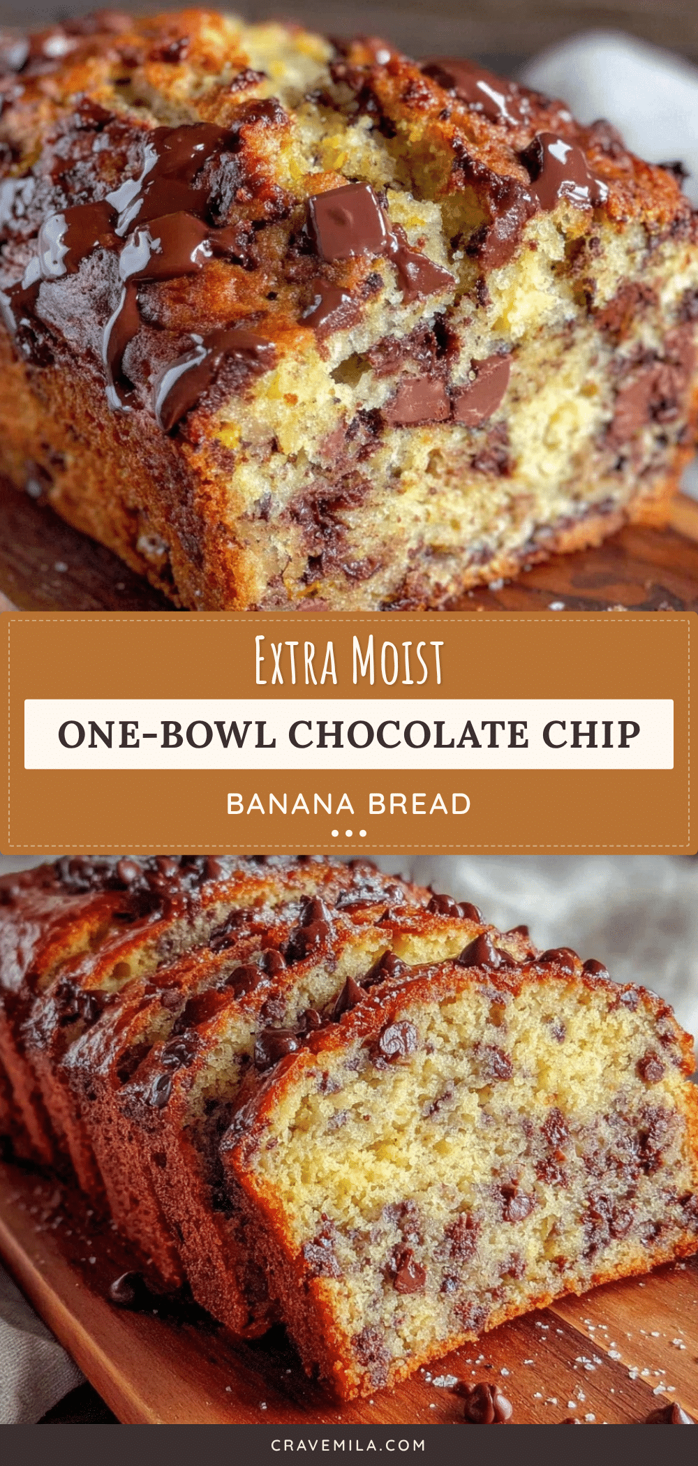 moist one-bowl chocolate chip banana bread recipe