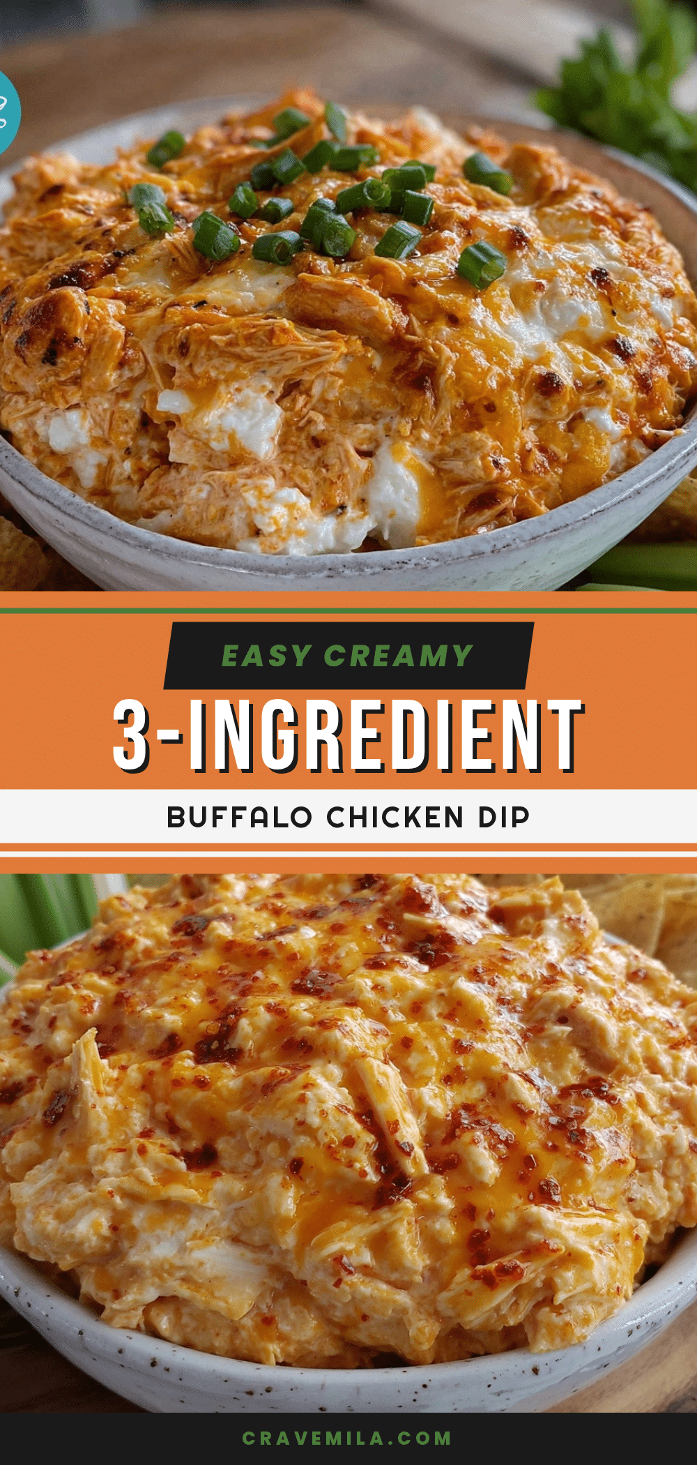 slow cooker buffalo chicken dip recipe