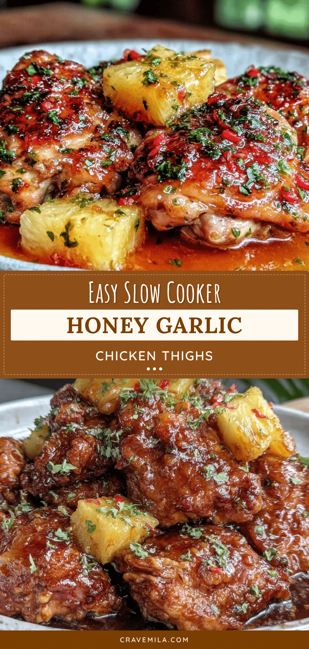 slow cooker honey garlic chicken thighs recipe