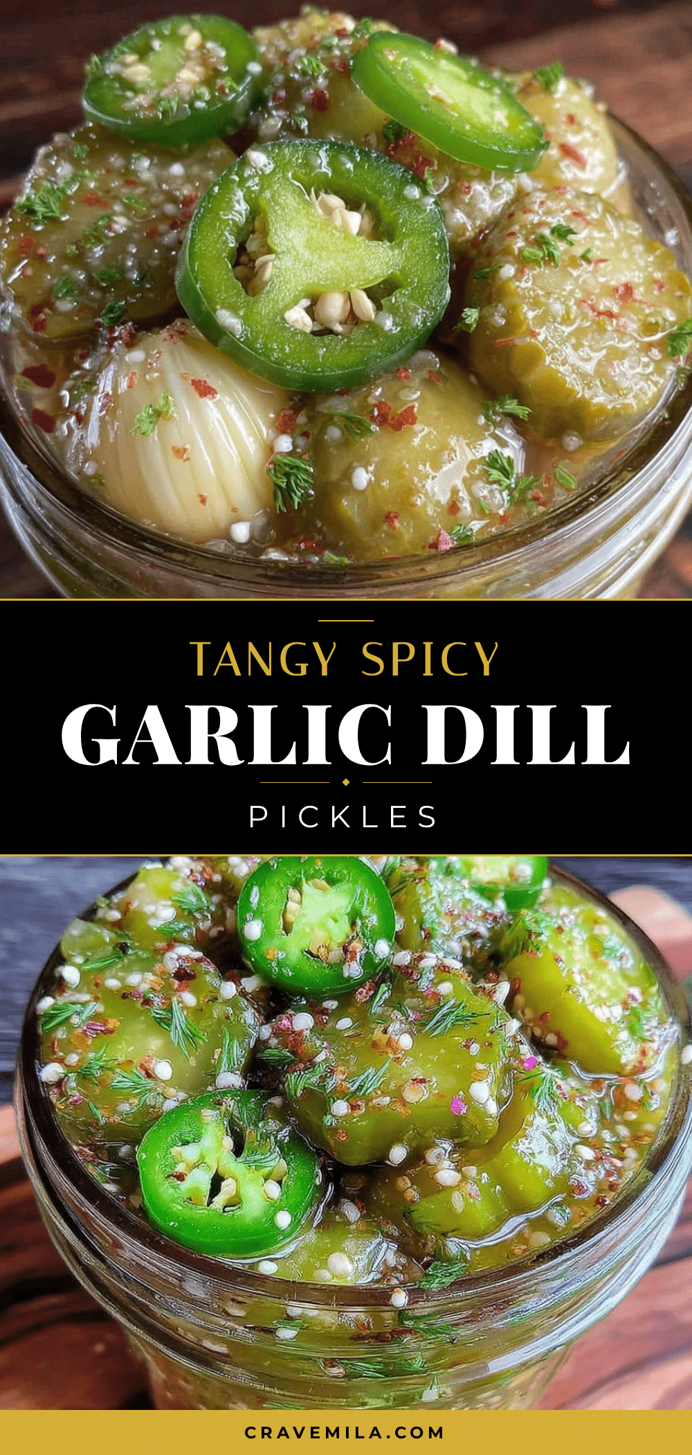 spicy garlic dill refrigerator pickles recipe