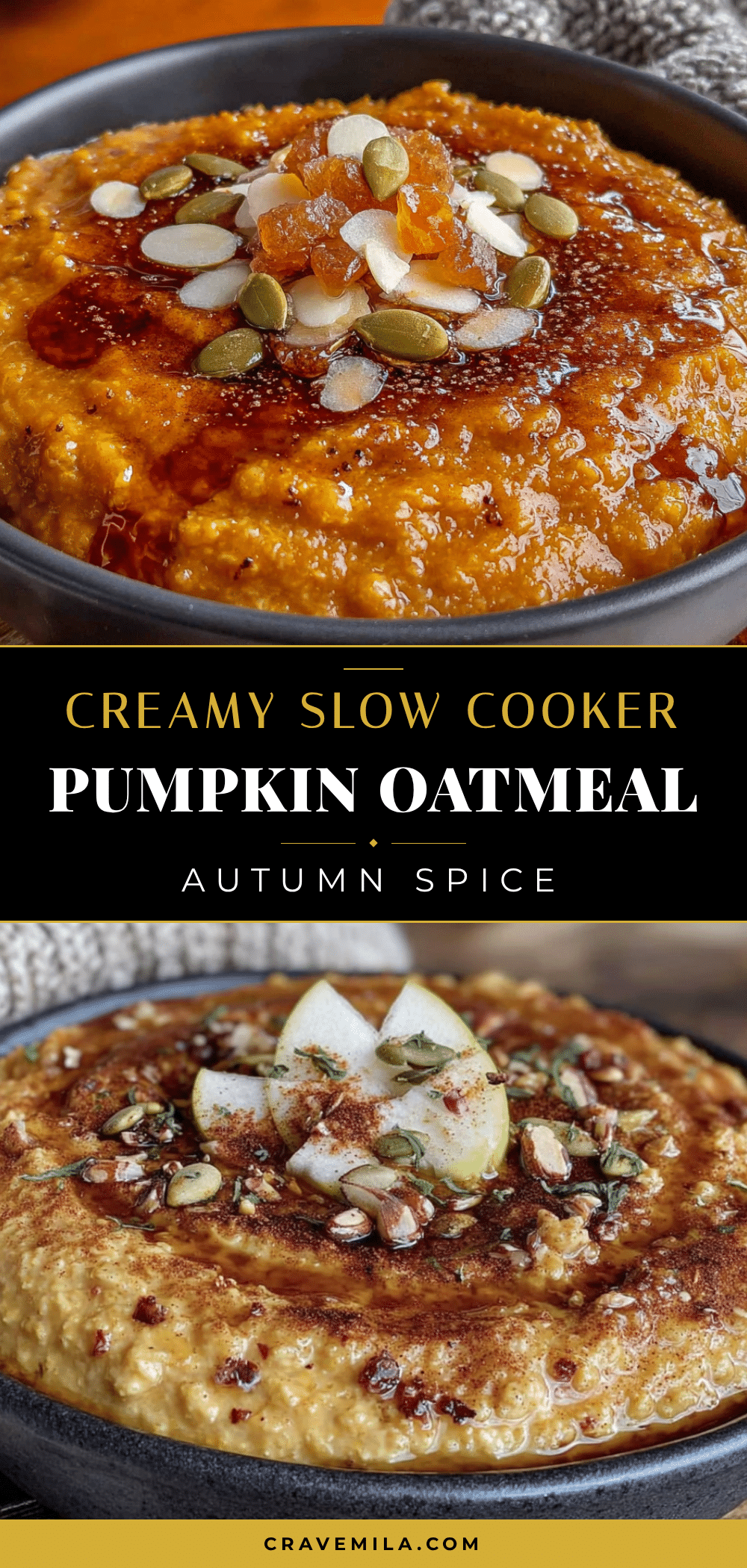 creamy crockpot pumpkin spice overnight oatmeal recipe