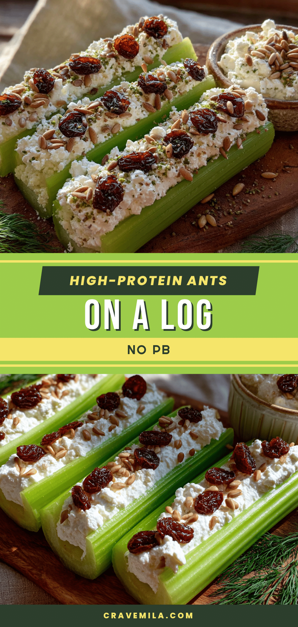 healthy high-protein ants on a log recipe