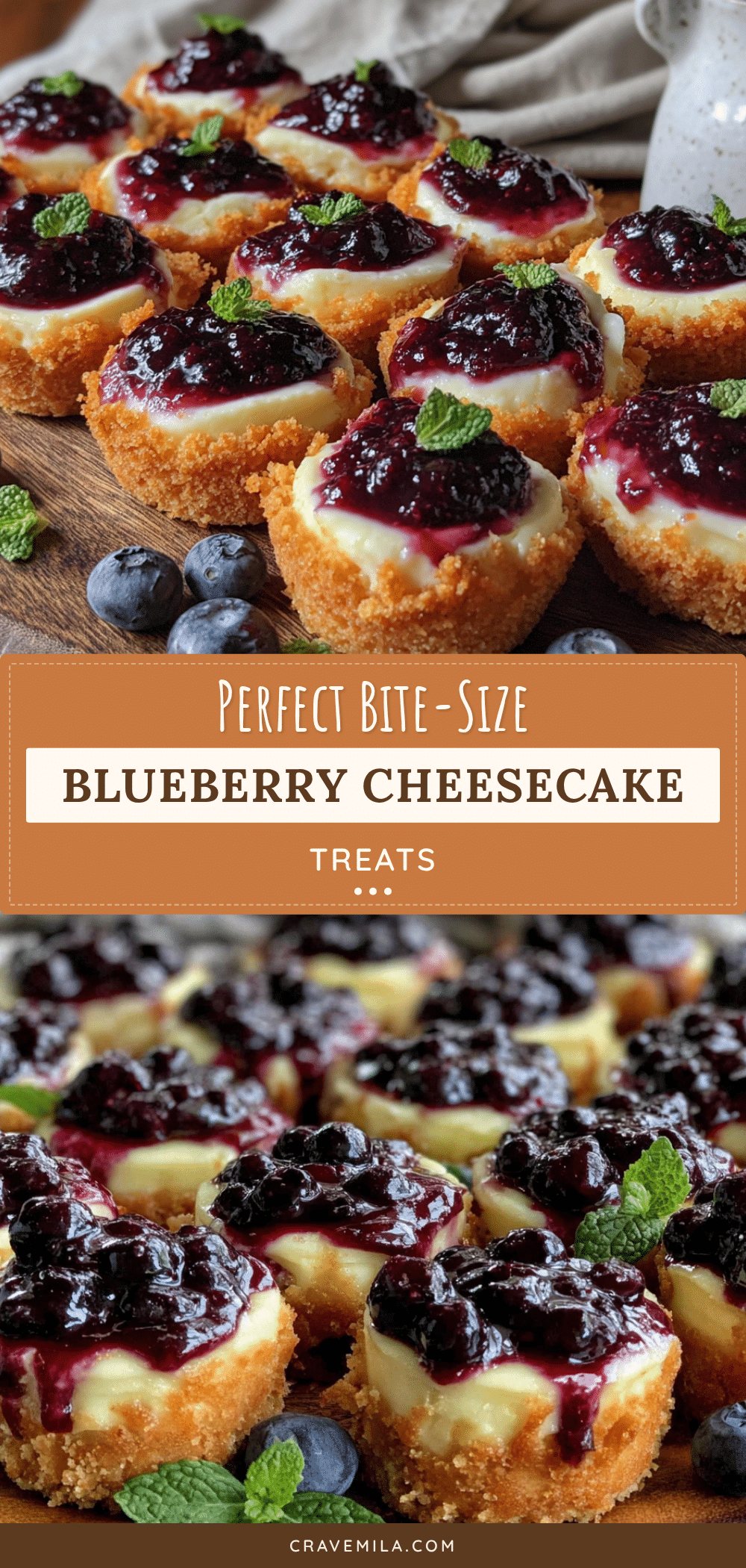 Mini Blueberry Cheesecake Bites recipe