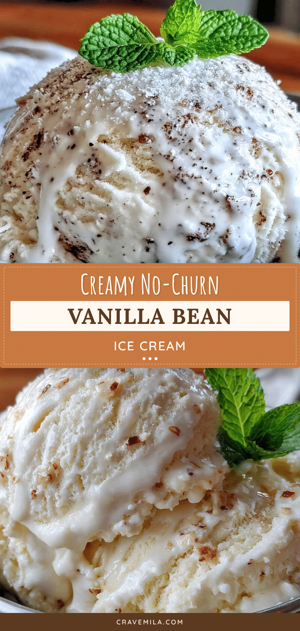 no-churn vanilla bean ice cream recipe