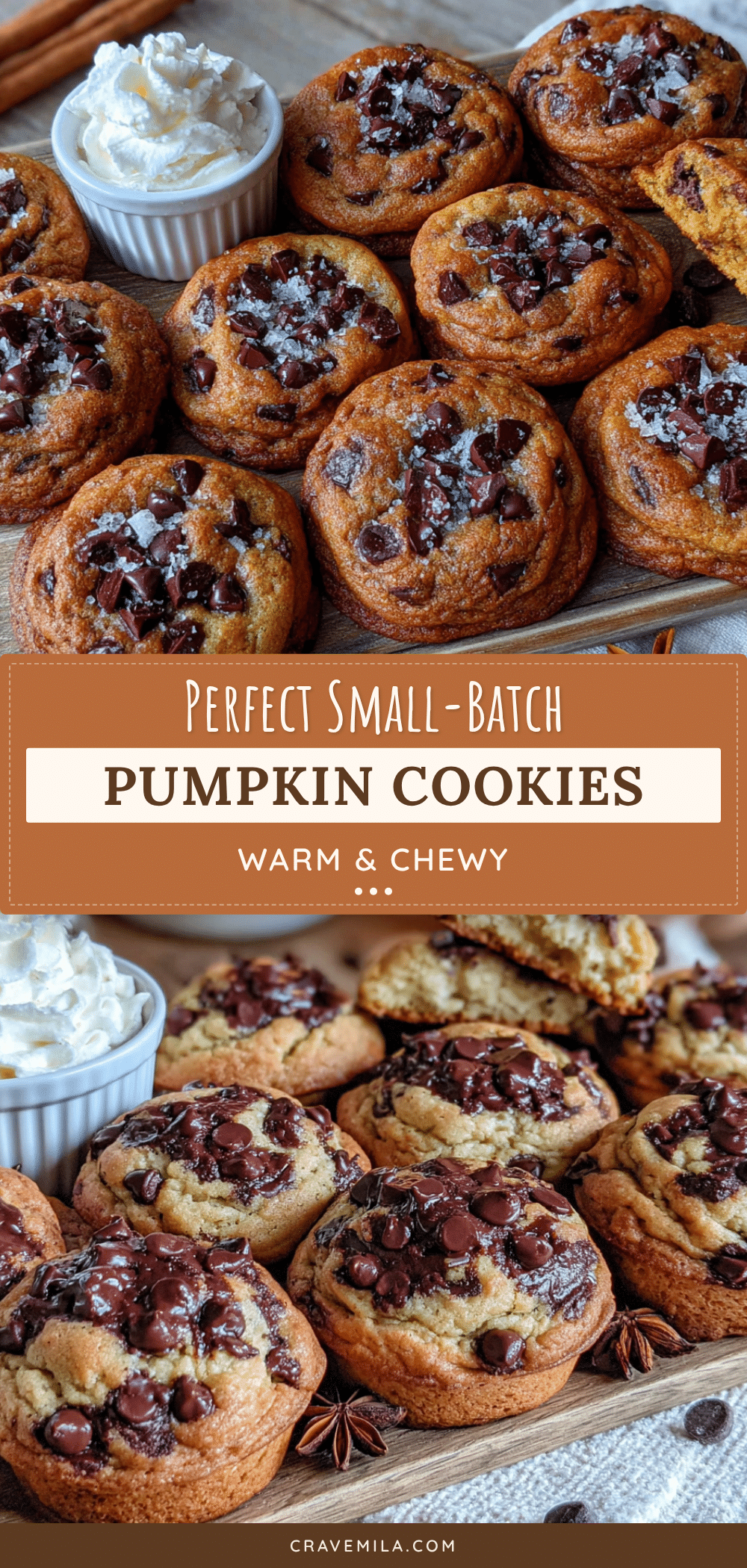 small-batch pumpkin chocolate chip cookies recipe