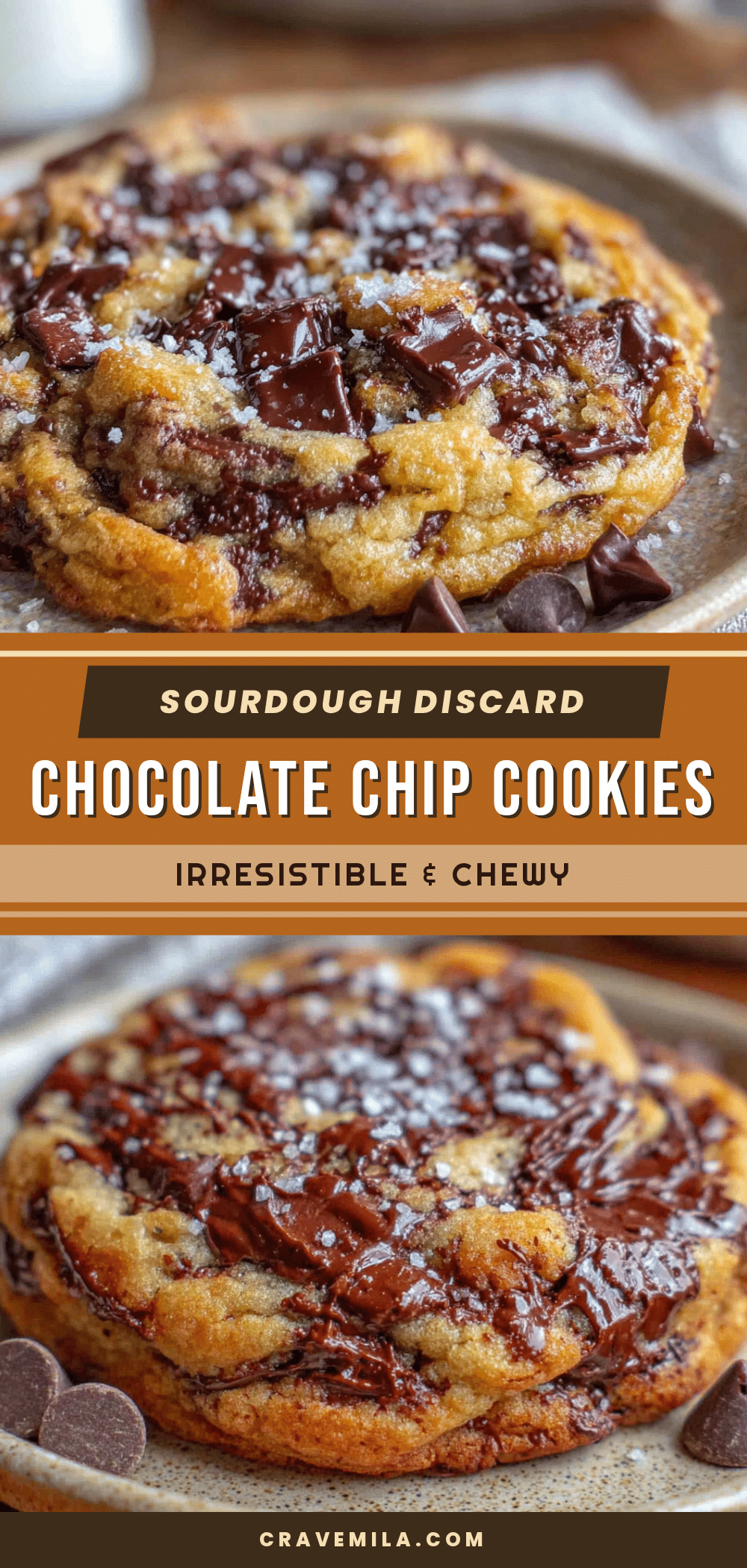 sourdough discard chocolate chip cookies recipe