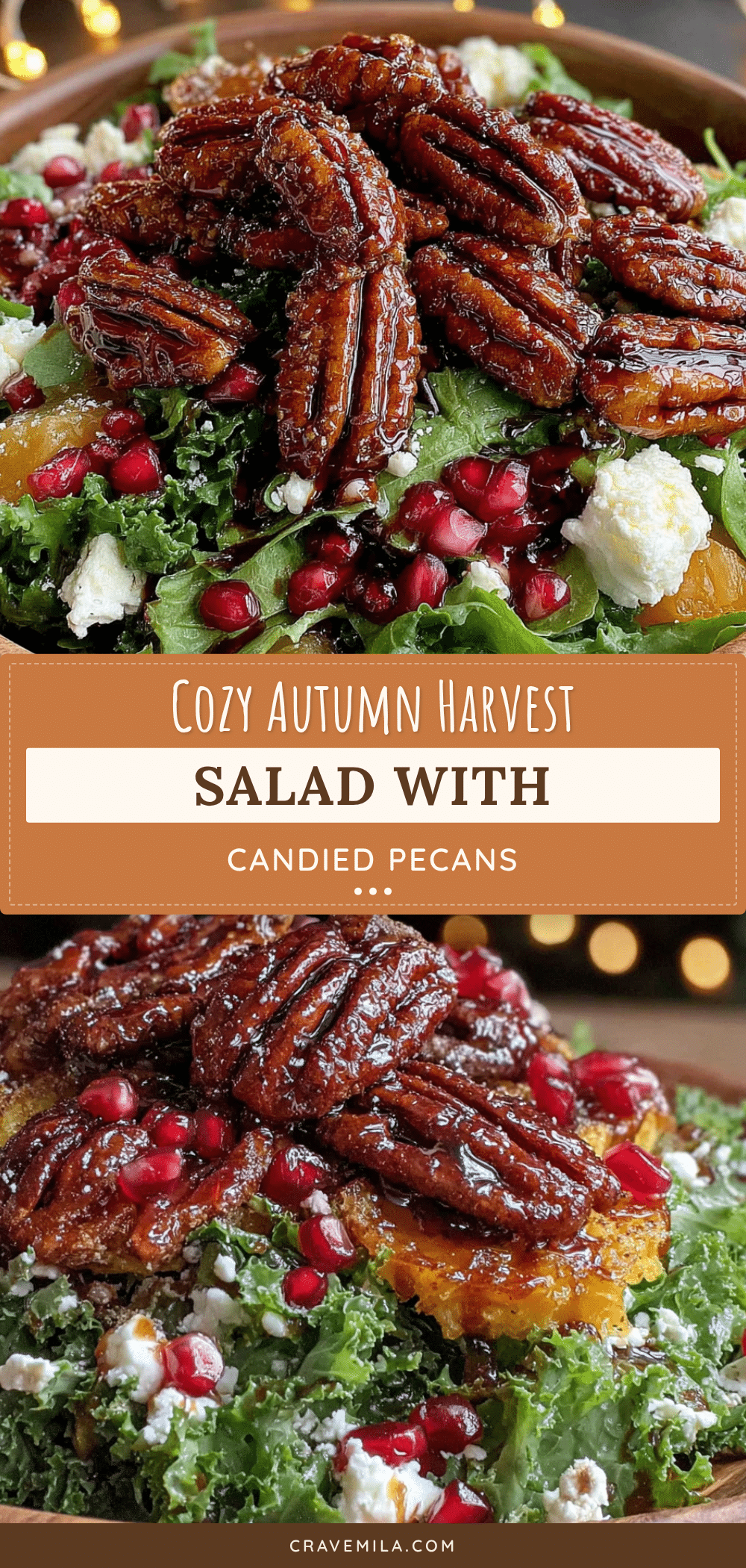 autumn harvest salad with candied pecans recipe