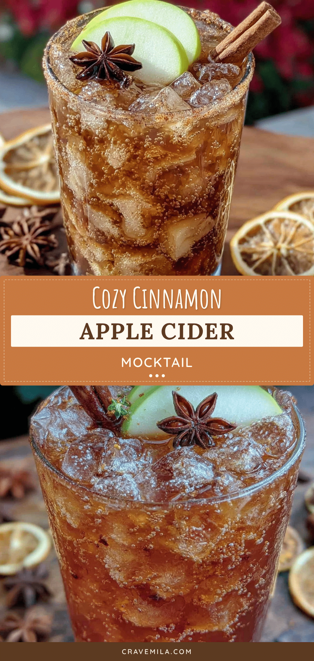 cozy cinnamon apple cider mocktail recipe