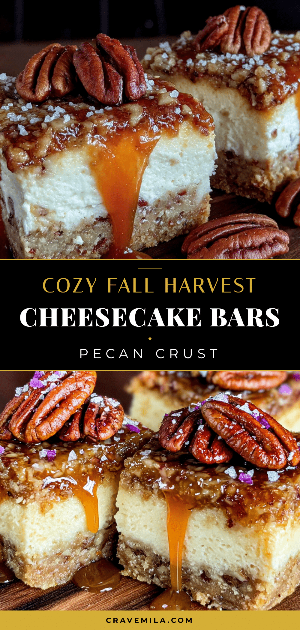 cozy fall harvest cheesecake bars with pecan crust recipe
