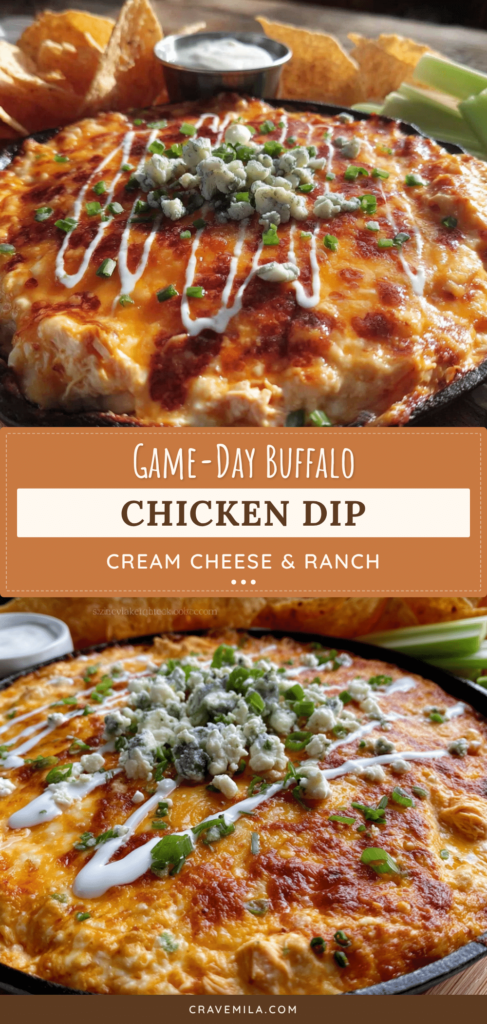 creamy buffalo chicken dip recipe