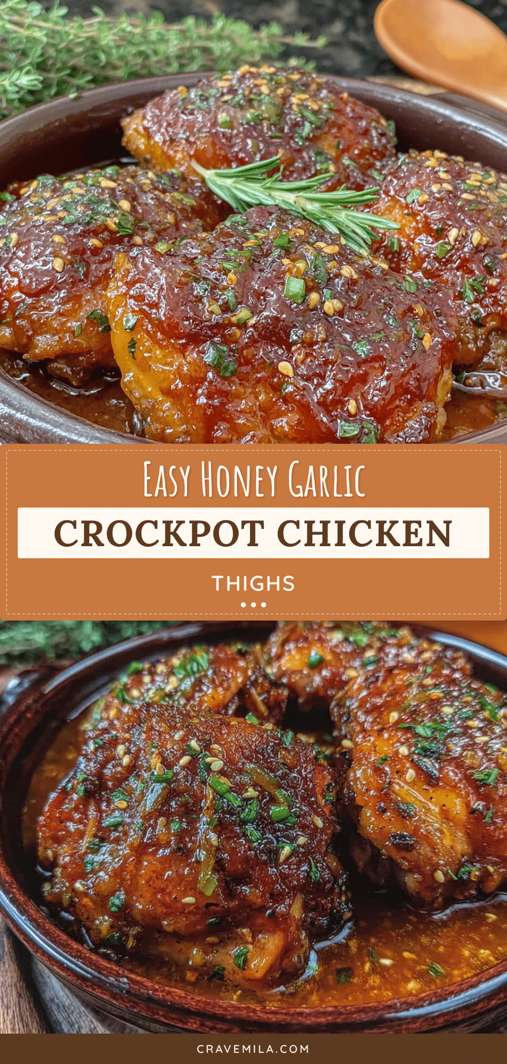 honey garlic crockpot chicken thighs recipe