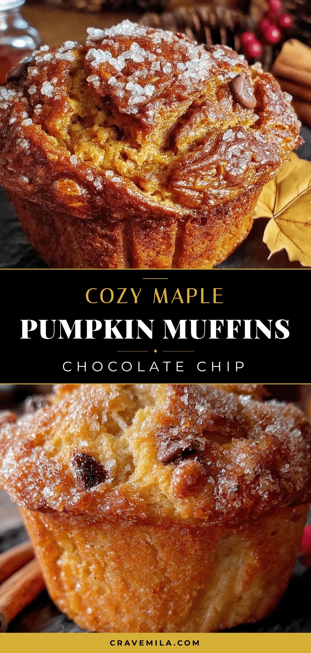 maple pumpkin chocolate chip muffins recipe