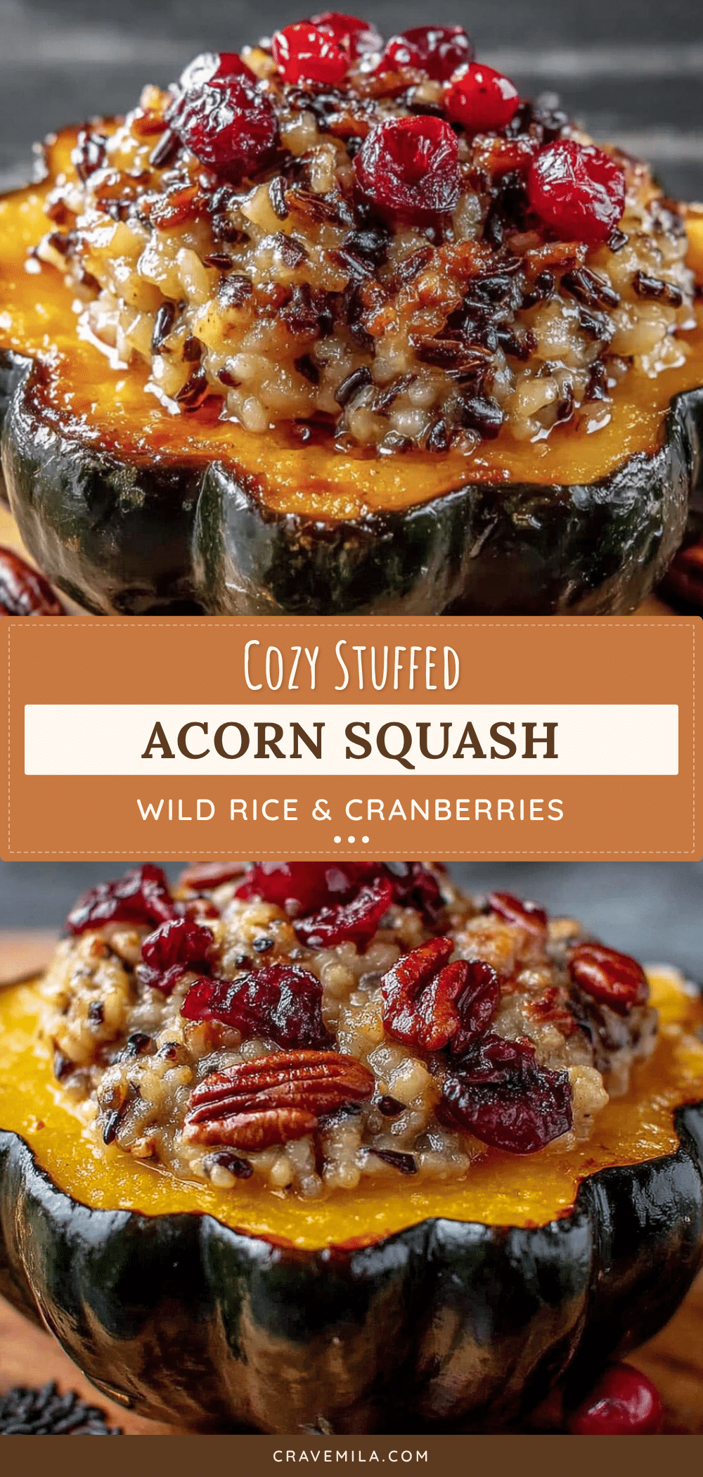 stuffed acorn squash with wild rice and cranberries recipe